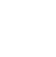 Fundación Undercode